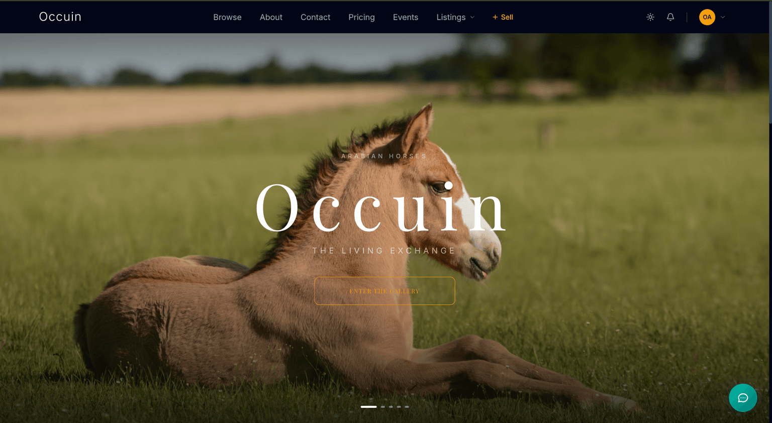 Occuin — project screenshot